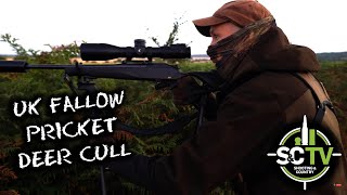 SampC TV  Deer management with Chris Rogers 14  Fallow deer stalking [upl. by Mamoun]