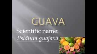 Pronunciation Picture and Scientific name of fruit GUAVA [upl. by Sevik]