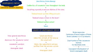 Neurogenic Shock Chapter 24 part 5 Guyton and Hall Physiology [upl. by Marylee]