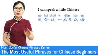 The Most Useful Phrases for Chinese Beginners  MUP 01  Mandarin Lessons [upl. by Nivar]