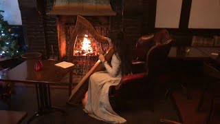 OCarolans Cup  Celtic Harp by the fire [upl. by Nedyah]