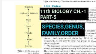 Class 11 BiologyCh1 Part5SpeciesGenusFamily amp OrderStudy with Farru [upl. by Ambrosane733]