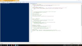 PowerShell 5 scripting checks [upl. by Almund]