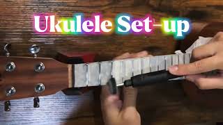 Ukulele Setup [upl. by Checani]