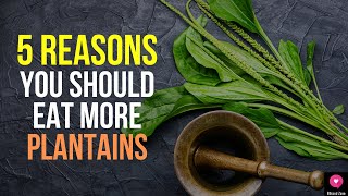 Amazing Health Benefits Of Plantain  5 Reasons You Should Eat More Plantains [upl. by Dlaniger]