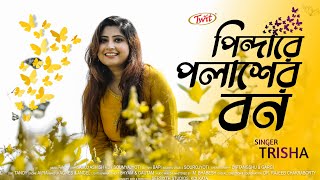 Pindare Polaser Bon  পিন্ডারে পলাশের বন  Trisha  Pujor Gaan  Folk Song [upl. by Atonsah274]