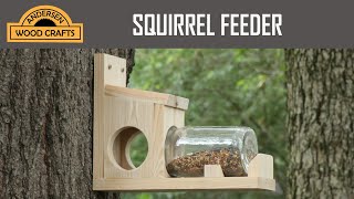 EASY DIY SQUIRREL FEEDER [upl. by Steinway]