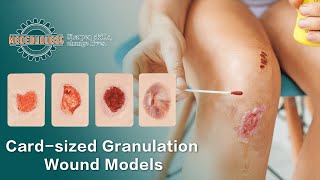 Cardsized Granulation Wound Simulation Models [upl. by Nivac]