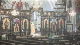 June 16 2024 Divine Liturgy Saint Ann Byzantine Catholic Church [upl. by Skrap323]