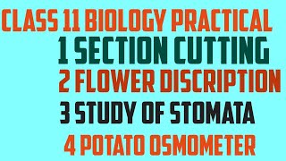 Class 11 biology practical core experiments and slide [upl. by Pampuch]