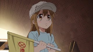 Ano nee Ano nee Platelets  Hataraku Saibou [upl. by Walczak]