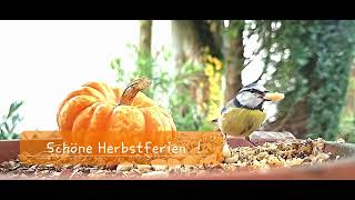 Schöne Herbstferien [upl. by Winna784]