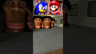 Chipi Chapa Cat amp Biden vs Sonic amp Mario gmod [upl. by Joerg]