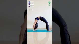 How to Perfect Your Chakrasana – Backbend for Strength amp Flexibility  Daily Yoga  Yoga Life [upl. by Rtoip]