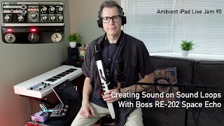 How to Use the Boss RE202 Space Echo for Sound on Sound Loops  Roland Aerophone AE20 Wind Synth [upl. by Rickard548]