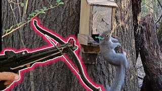 Squirrel Hunting w 80lb Pistol CrossbowM48 Hell Hawk [upl. by Suiddaht563]