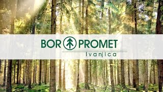 BOR PROMET Ivanjica  Proizvodnja montažnih kuća i objekata [upl. by Inman]