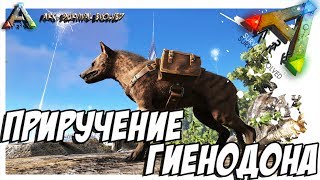 ARK Survival Evolved  ПРИРУЧЕНИЕ ГИЕНОДОНА TAMING HYAENODON [upl. by Menzies]