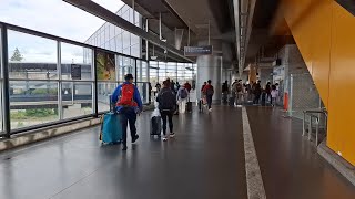 Checking In SeattleTacoma International Airport Washington [upl. by Hilary]