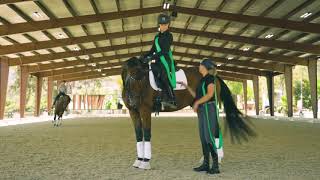 SMART Equiformance Rider Posture Slings [upl. by Nibor]