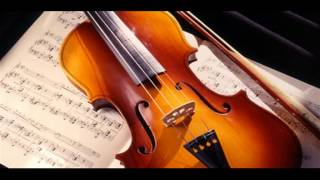 Schubert  Symphony No 3 Presto Vivace [upl. by Iaht19]