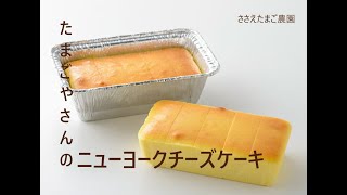 【超濃厚】たまごやさんのニューヨークチーズケーキ [upl. by Pedroza]