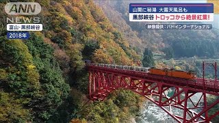 黒部峡谷トロッコ紅葉絶景＆お買い得な野菜は？【スーパーJチャンネル】2024年11月15日 [upl. by Irwinn]