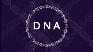 What is DNA and How Does it Work  Basics of DNA [upl. by Reagan]