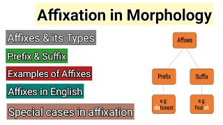 Affixation in Morphology  Affixes amp its types  Prefix and suffix examples  Words Formation Proces [upl. by Calise]