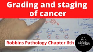 Grading and Staging of CancerRobbins Pathology chapter 6 pathology generalpathology neoplasia [upl. by Asta]