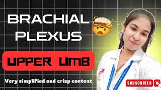 Brachial Plexus  Upper Limb simplified anatomy smcw [upl. by Alwin]