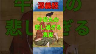 源義経 弁慶と牛若丸 ヒーロー shorts 否 出っ歯 チビ 手柄泥棒 嫌われ者 やめてー [upl. by Aihsenak525]