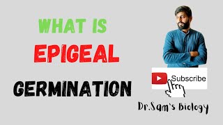 What is Epigeal Germination [upl. by Nottus]