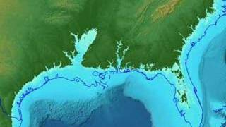 Sea level rise on the US Gulf Coast [upl. by Alihet]