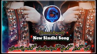 ToMuhnjoDilberMahnjoJaniMahnjoMurshidSain  New Sindhi TikTok trending song [upl. by Goran]