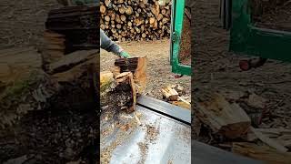 Log Splitter Double logsplitter machine woodwooding wood [upl. by Allisirp]