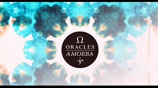 Oracles  Amoeba  Lyric Video [upl. by Johannes433]