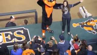 Baltimore Orioles Seventh Inning Stretch [upl. by Limak623]