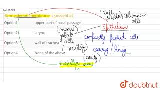 Schneiderian membrane is present at [upl. by Eigriv886]