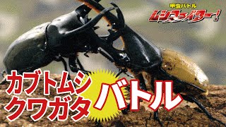 【公式】カブトムシ・クワガタムシの甲虫バトル ムシファイター！【フルバージョン】70min [upl. by Brice]