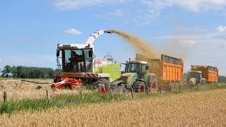 Claas Jaguar 870  Loonw Willem Claeys  GPS hakselen [upl. by Raynor]