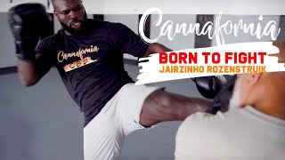 Jairzinho Rozenstruik Training Routine  PREFIGHT  CANNAFORNIA CBD  UFC MMA [upl. by Norej524]