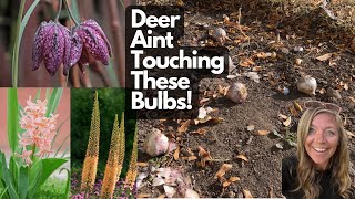 Planting Deer Resistant and Naturalizing Bulbs Get Blooms Every Year FlowerFanatic [upl. by Annunciata]