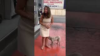 Korina Sanchez Rescues a Stray Dog by the Gas Station [upl. by Ibloc]