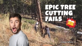 Epic Tree Cutting Fails  2 [upl. by Nuawd]