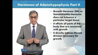 Hormones of Adenohypophysis  Part 2  Animal Form amp Function 1 Theory  ZOO516TTopic127 [upl. by Jarrett]