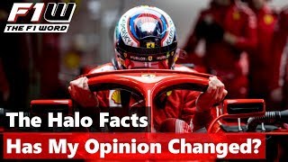 The Halo Facts Have They Changed My Opinion [upl. by Smiga]