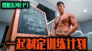 【一起制定训练计划】增肌期最容易犯的错误！如何分化训练The Discipline SeriesEP1 [upl. by Musetta]