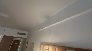 RIU Palace Bavaro  NEW ROOM MOLD PROBLEM YUCK [upl. by Ariaz]