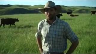 Derek Schwanebeck of Sand Hills Red Angus [upl. by Fields]